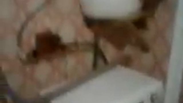 стиралка-автомат без водопровода смотреть онлайн