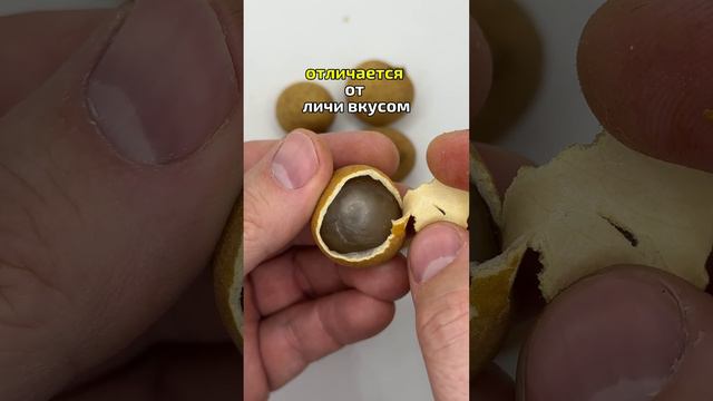 А вы пробовали? смотреть онлайн