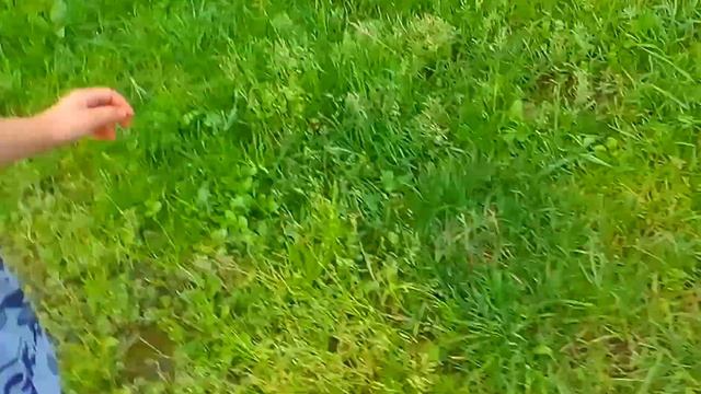 1.08.2016 рассказ про поездку на море с мамой смотреть онлайн