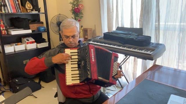Phoolon ke rang se - Piano Accordion смотреть онлайн