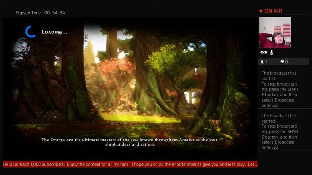 Kingdoms of Amalur: The Re-Reckoning - Season 1 Episode 3 смотреть онлайн