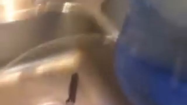 5 gallon water bong.m смотреть онлайн