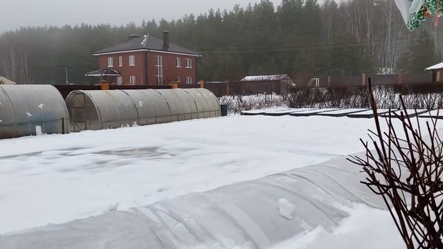 Розы. Последствия урагана в саду. Небольшая инспекция сада. ??? смотреть онлайн
