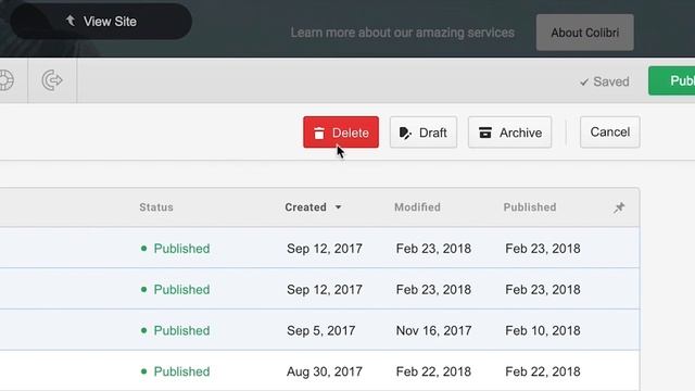 Client's guide to the Webflow Editor: Collections tab смотреть онлайн