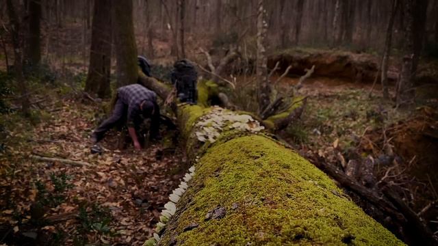 Bushcraft Solo Camping 2020 - Burger In The Forest -Making Stove From Mud #2. [MOVİE]