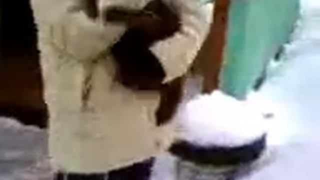 Кот под названием дикий смотреть онлайн