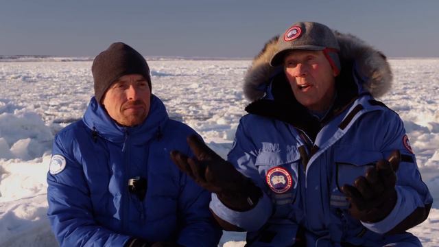 How Cold Does It Get Where Polar Bears Live? смотреть онлайн