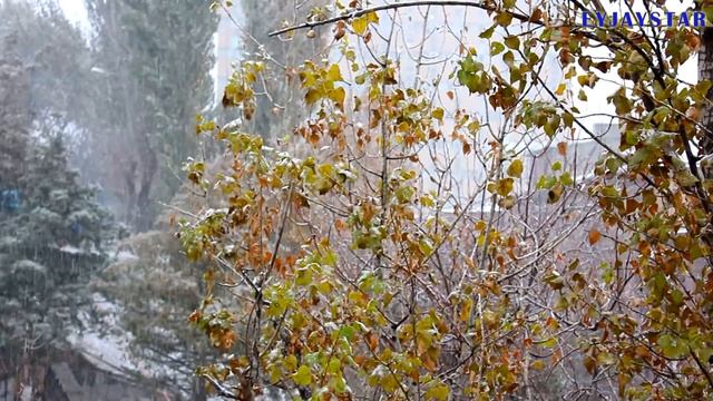 Snow time in Yerevan. Снежный день в Ереване. 24 ноября 2011. смотреть онлайн