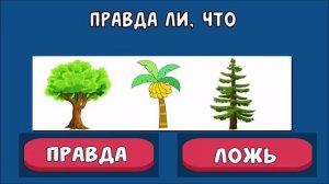 в.4