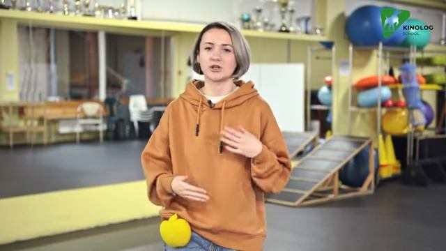 Как научить щенка команде КО МНЕ. Дрессировка собак с Антониной Зимаревой. смотреть онлайн