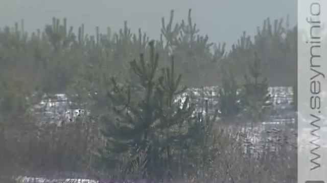 Сохраним «легкие планеты» смотреть онлайн