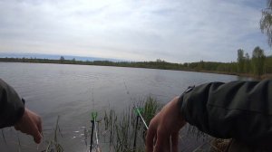 Крупный Карась на МИНИ ФЛЭТ метод, Рыбалка на пикер (фидер), ловля в мае