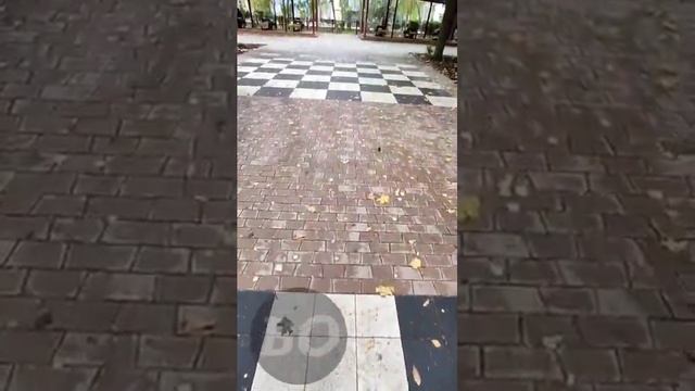 В сквере Победы появились ростовые шахматы, беговые дорожки, новые пешеходные зоны, боксёрская груш смотреть онлайн