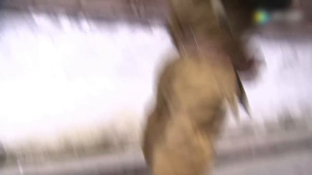 日本女間諜為取得八路軍信任，對日本軍官下死手，怎料身份還是被識破！ смотреть онлайн