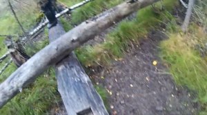 Катаемся по лесу на вездеходе Аврора 4х4