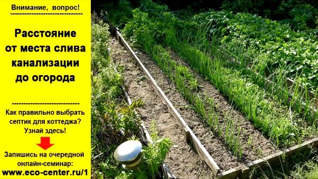 Какое расстояние от места слива стоков до огорода? смотреть онлайн