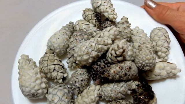 Отбеливание шишек 4 способами - 4 разных результата / Как отбелить шишки смотреть онлайн