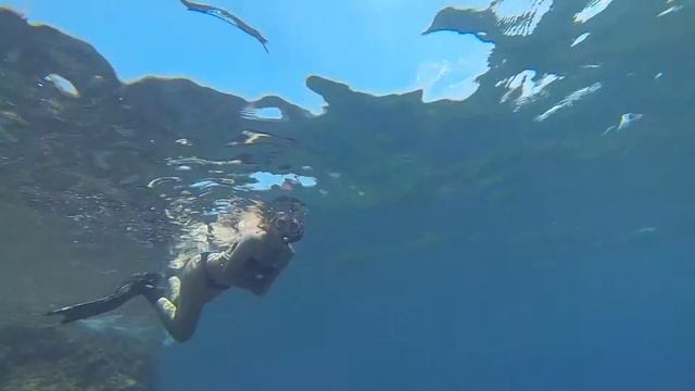 snorkeling in Xabia (Quality Full HD 1920 X 1080p) смотреть онлайн