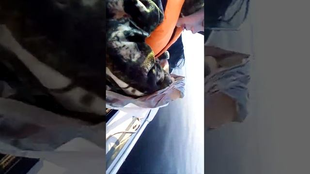 китайский эхолот Phiradar смотреть онлайн