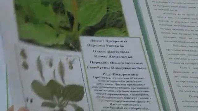 Краеведческие чтения в Ровеснике смотреть онлайн