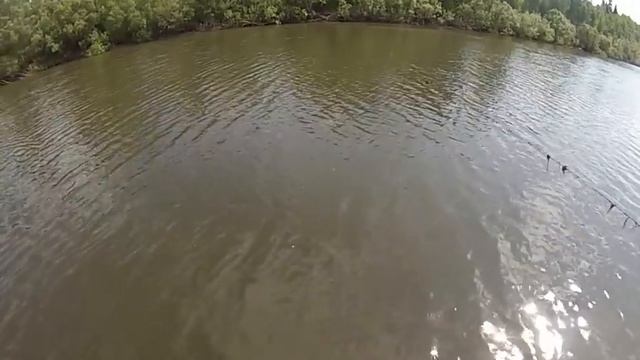 Рыбалка!Ловим живца.Судаки на перетягу,перемет. смотреть онлайн