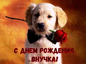 С Днем Рождения,Внученька! Будь Счастлива!