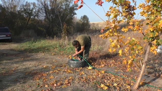 Удобное хранение садового шланга в старой автомобильной покрышке. смотреть онлайн