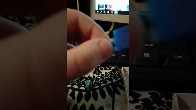 Как слепить спраута смотреть онлайн