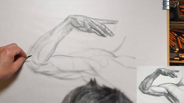 Arm Anatomy Drawing Demo (timelapse) смотреть онлайн