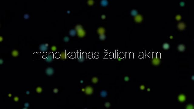 Vilija - Kvailys (Lyric Video) • Kelias Į Žvaigždes