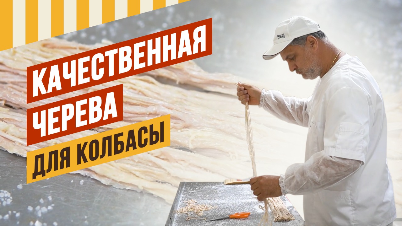 Качественная черева - какой она должна быть? Что почитать начинающему колбаснику. Анонс эфира 12.10. смотреть онлайн