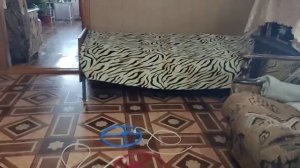 Металлоискатель Клон Пи W. Часть 2. Настройка