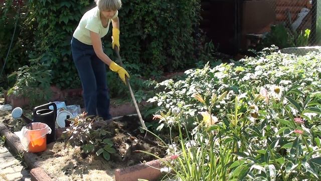 Часть №2 "Восстановление плодородия почвы". смотреть онлайн