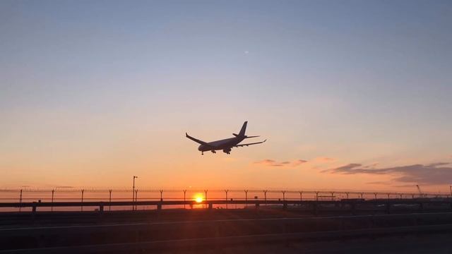 Sheremetyevo international airport ✈️? SVO смотреть онлайн