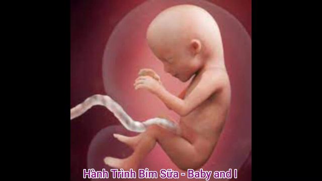 Pregnancy and the 15th week fetus || Baby and I - The journy of being mommy смотреть онлайн