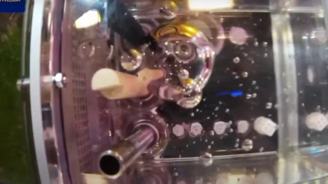 Данио Ререо