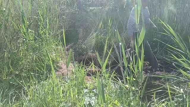 Коп в паре км от дома. смотреть онлайн