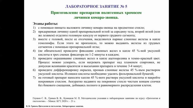 Ядро клетки, описание методики приготовления микропрепарата политенных хромосом смотреть онлайн