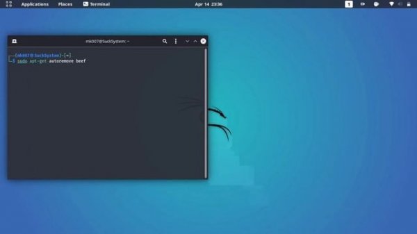 How to Delete BeEF-XSS in Kali Linux 2023 | MK007