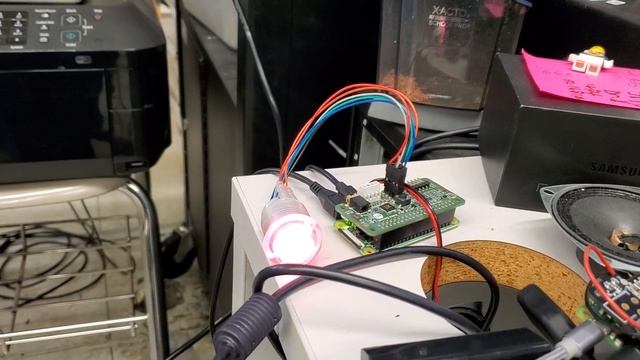 ALCHEMIST APPRENTICE: CONVERSATION WITH THE MASTER ORACLE смотреть онлайн