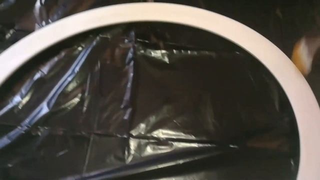 ПИОНЫ маслом на холсте, крашу раму