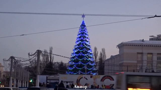 ЁЛКА возле СИТИ-ПАРК ГРАД. ВОРОНЕЖ 2021 смотреть онлайн