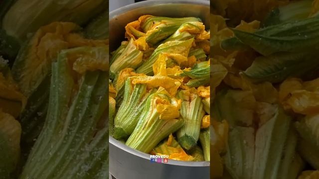 Северный Кипр: Долма из цветков тыквы Kabak Çiçeği Dolması . Shorts. Проведу смотреть онлайн