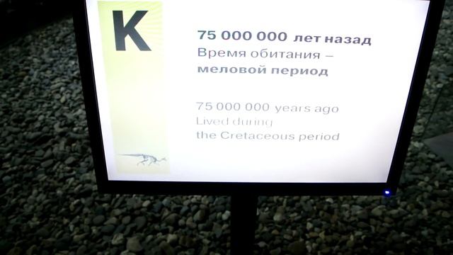 Смотрим на динозавров и мамонтов - Музей Пермских Древностей смотреть онлайн