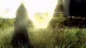 Песня Увидеть чистое небо.