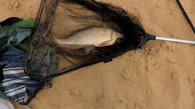 Мой первый сазан! Рыбалка в Казани, 13 июня 2017 года смотреть онлайн