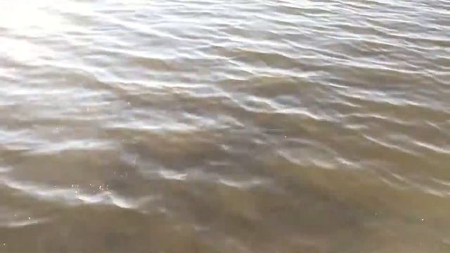 Озеро Белолебяжье смотреть онлайн
