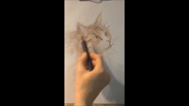 Как научиться рисовать кошку. How to lean to draw a cat.wmv смотреть онлайн