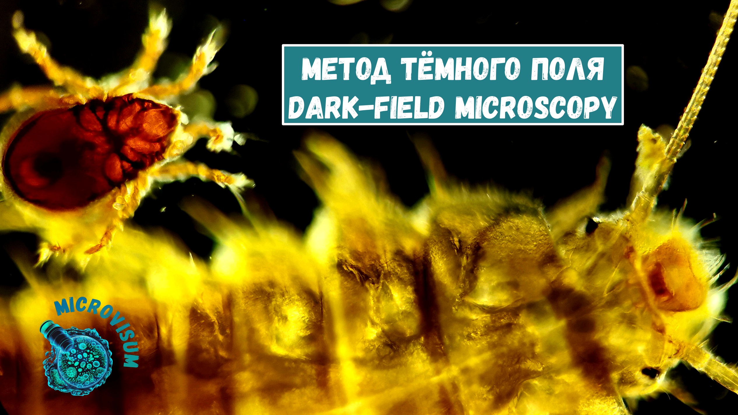 Тёмное поле (dark-field) смотреть онлайн