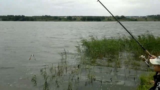 Супер-Рыбак Тестирует Авторский Фидер на Кольчугинском Море! | Певец Кольчугино смотреть онлайн